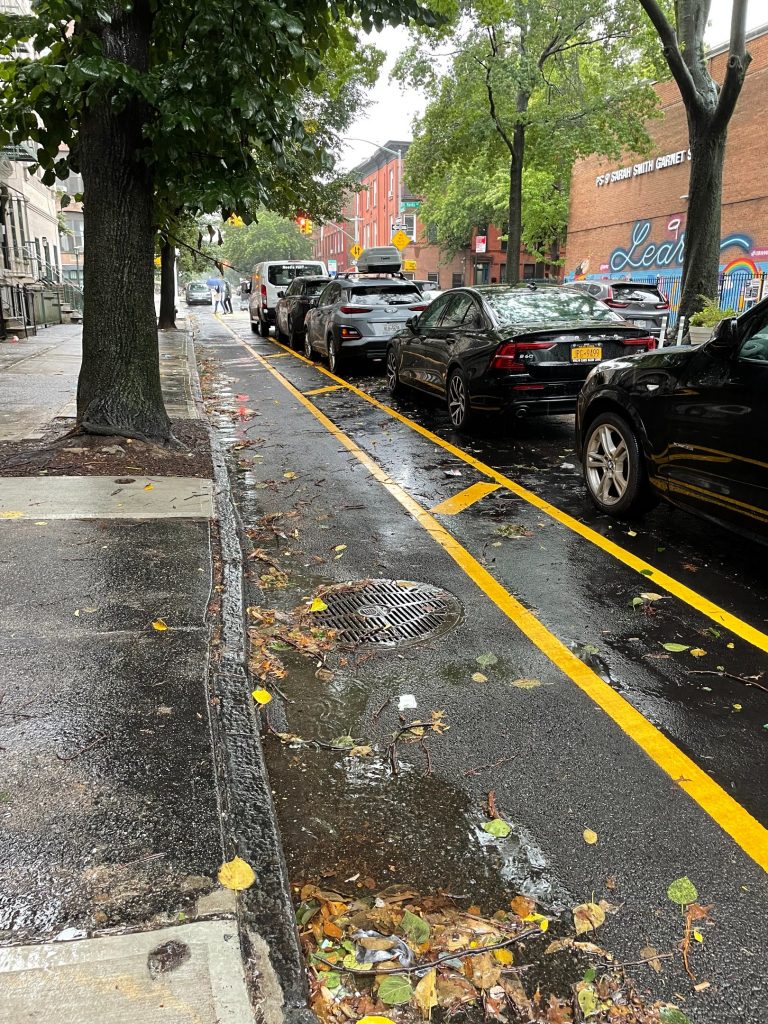 Street view of a protected bike lane between the sidewalk and row of cars.